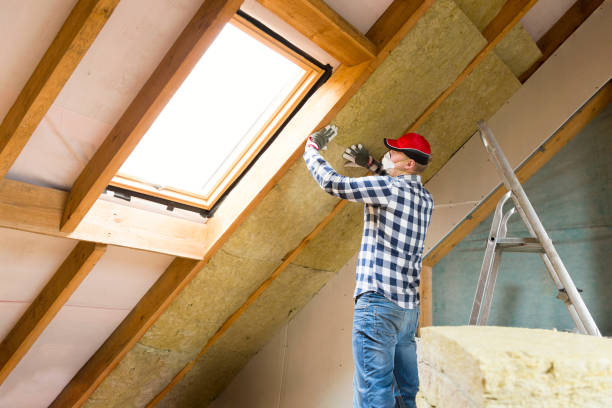 Best Attic Insulation Installation  in North Las Vegas, NV